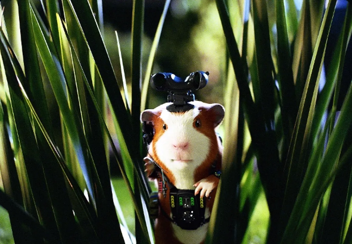 G-Force, 2009 - fotogaléria
