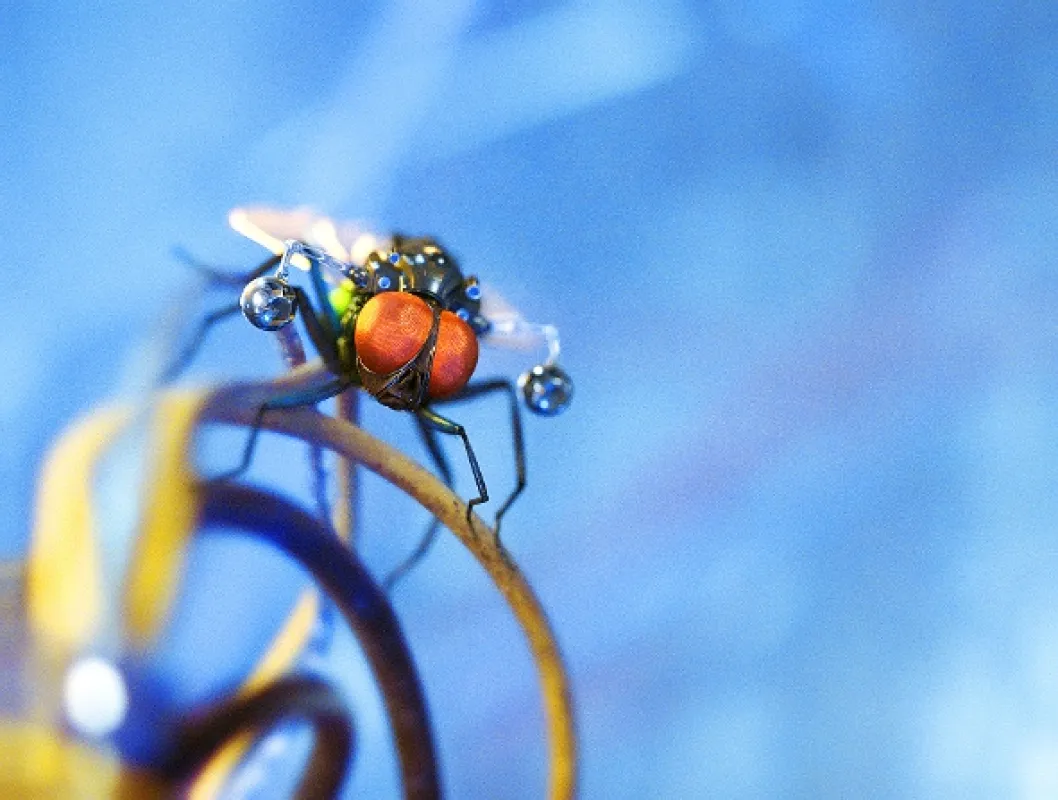 G-Force, 2009 - fotogaléria