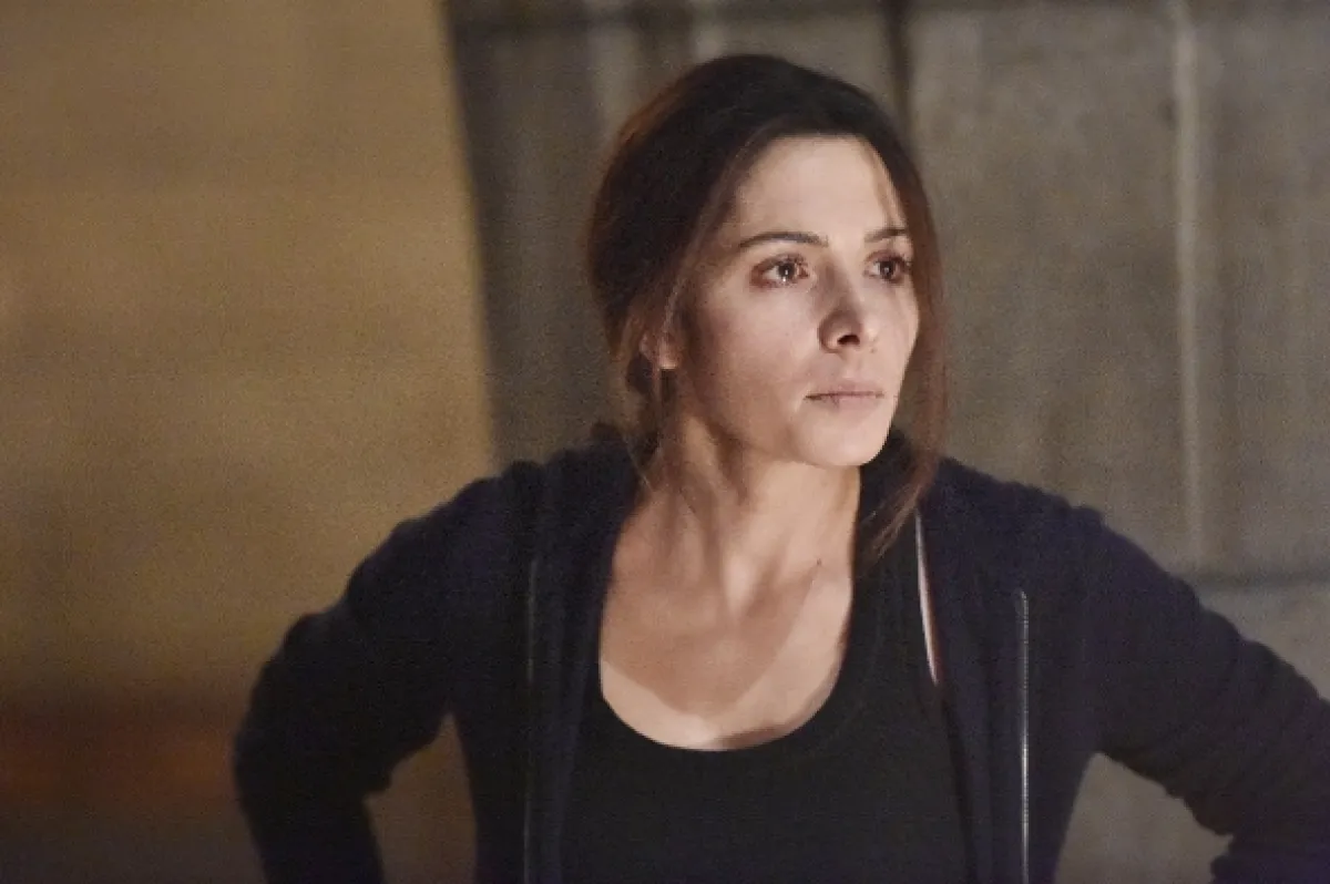 Lovci zločinců (Person of Interest V), 2016 - fotogaléria