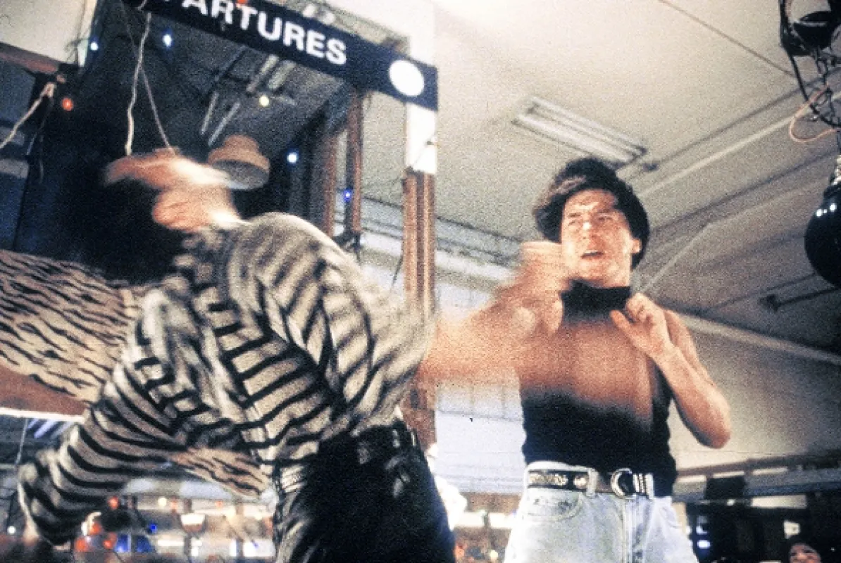 Rachot v Bronxe (Rumble in the Bronx aka Hung fan kui), 1995 - fotogaléria
