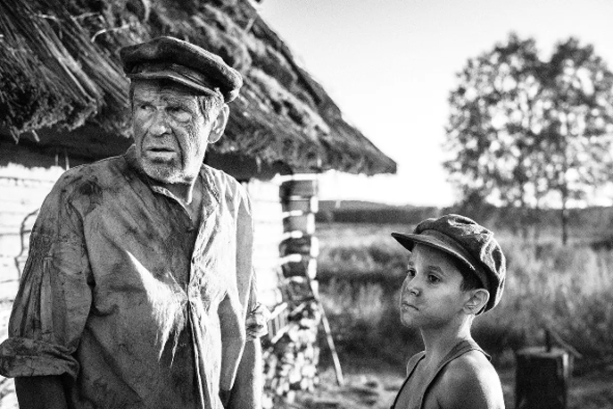Pomaľované vtáča, 2019 - fotogaléria