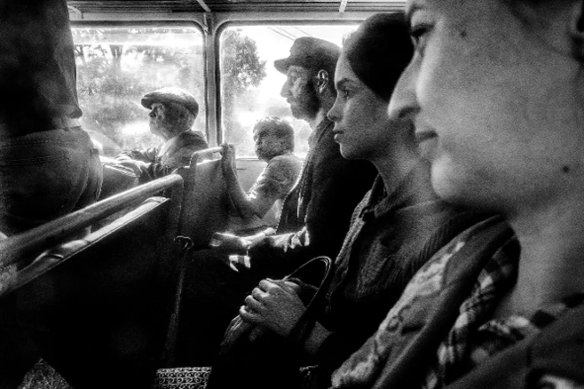 Pomaľované vtáča, 2019 - fotogaléria