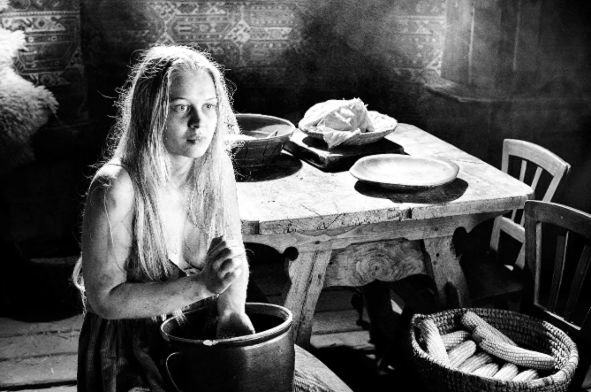 Pomaľované vtáča, 2019 - fotogaléria