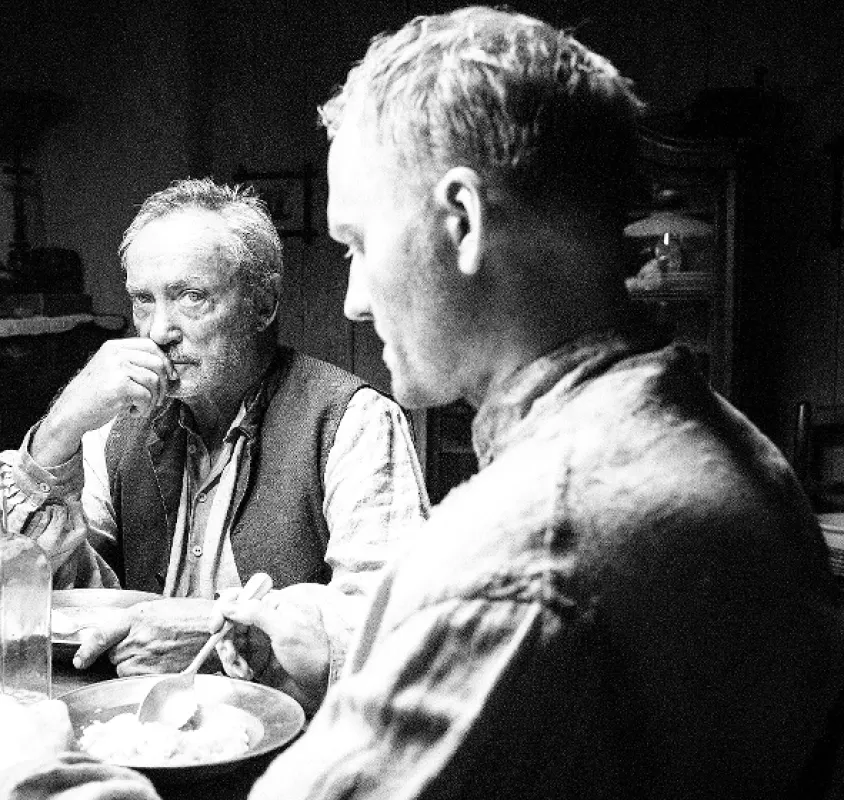 Pomaľované vtáča, 2019 - fotogaléria