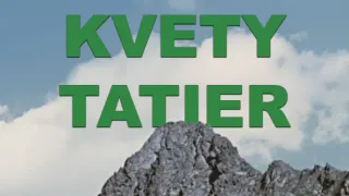 Kvety Tatier - SFU