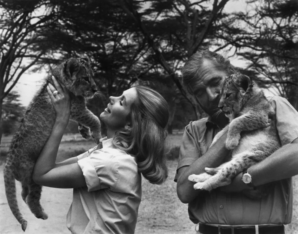 Divočina patří lvům (Living Free), 1972 - fotogaléria