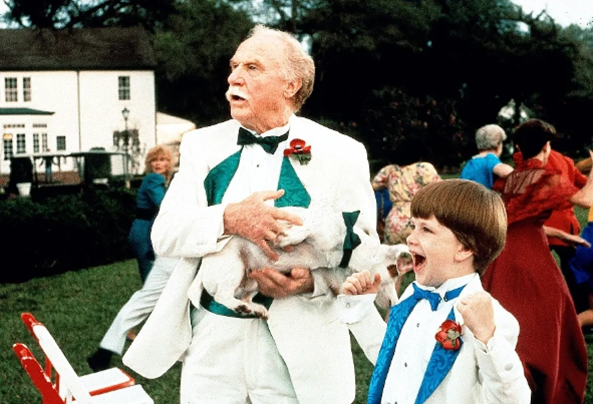 Ten chlapec je postrach 2 (Problem Child 2), 1991 - fotogaléria