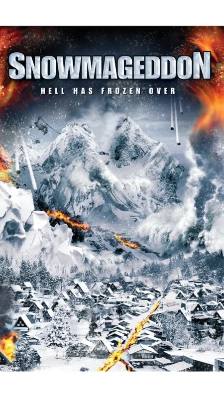 Sněhový armagedon (Snowmageddon), 2011 - fotogaléria