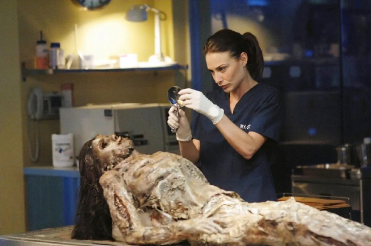 Kriminálka New York (CSI: NY 3), 2006 - fotogaléria