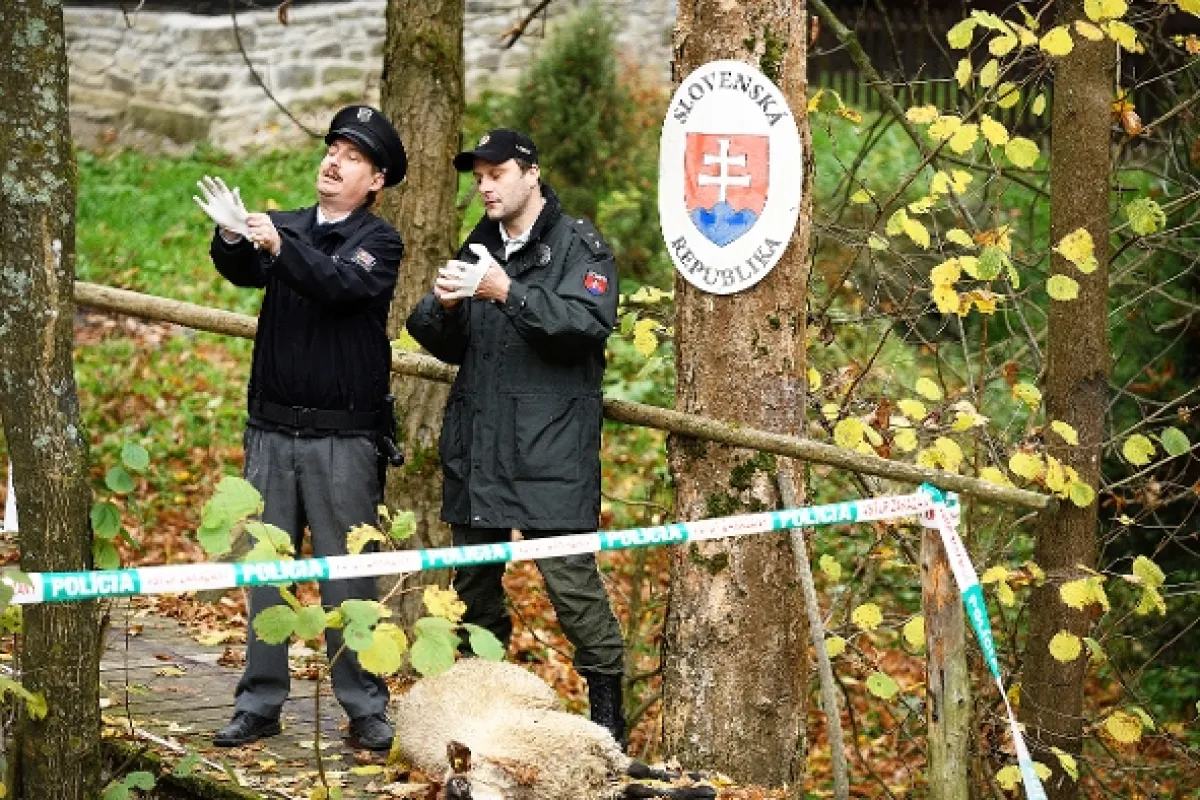 Strážmajster Topinka, 2018 - fotogaléria