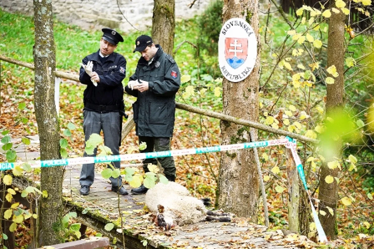 Strážmajster Topinka, 2018 - fotogaléria