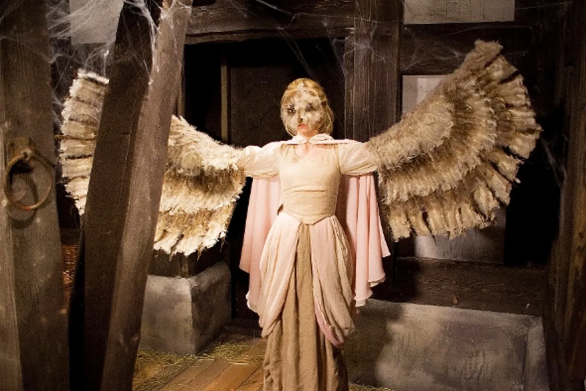 "Sůva z nudlí", 2006 - fotogaléria