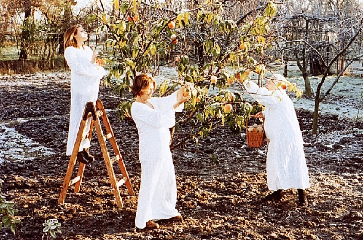 Modré z nebe, 1997 - fotogaléria