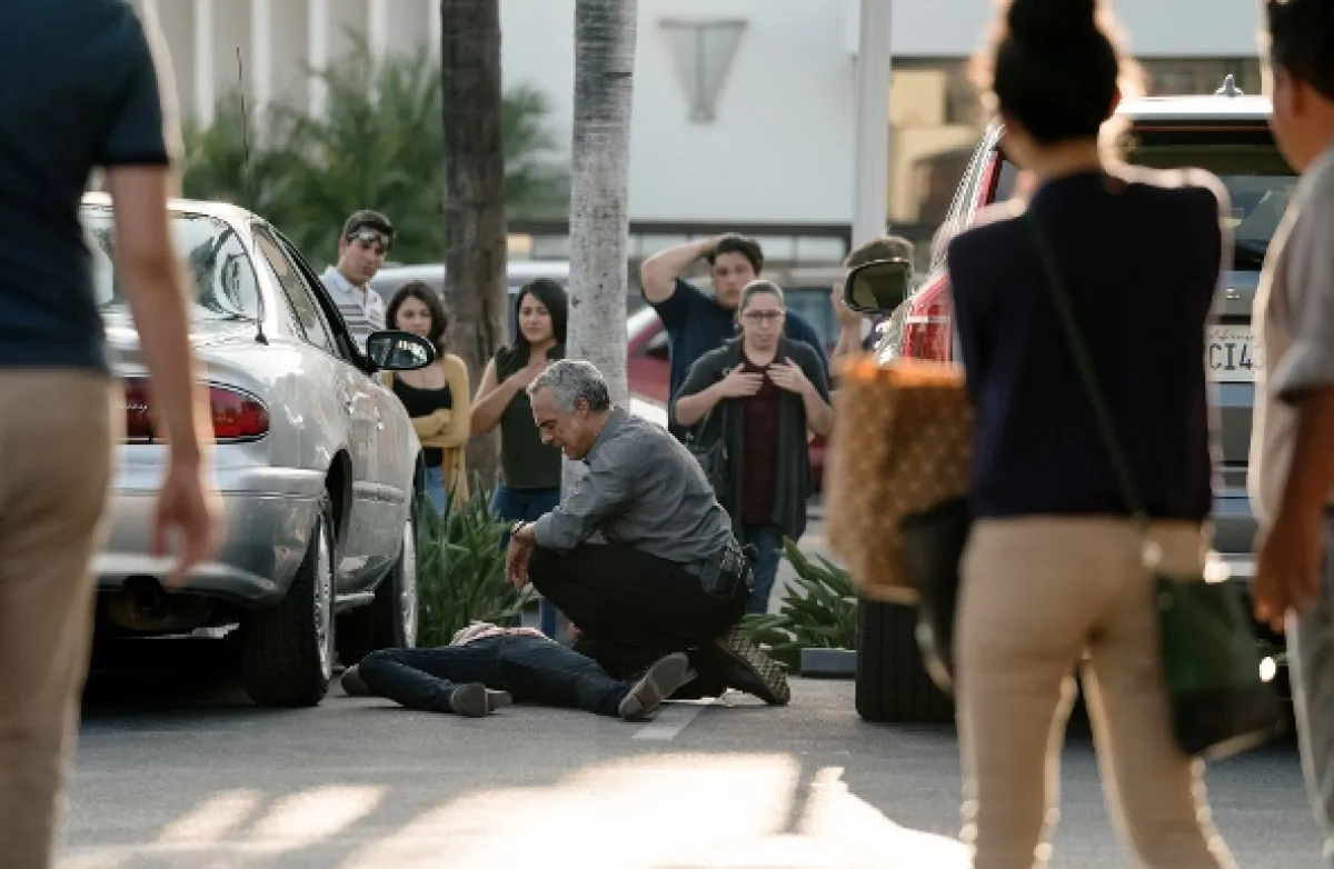 Bosch (BOSCH), 2017 - fotogaléria