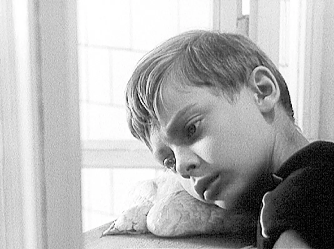 Holubice, 1960 - fotogaléria