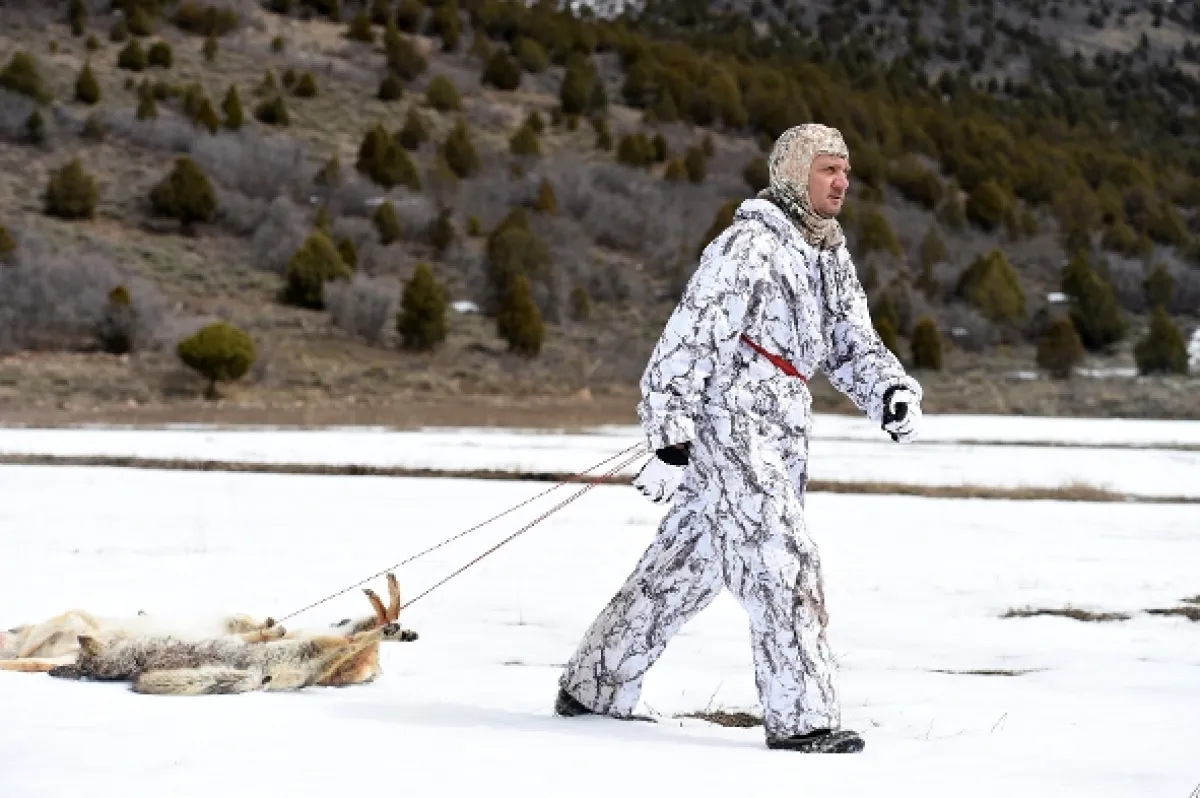 Wind River, 2016 - fotogaléria