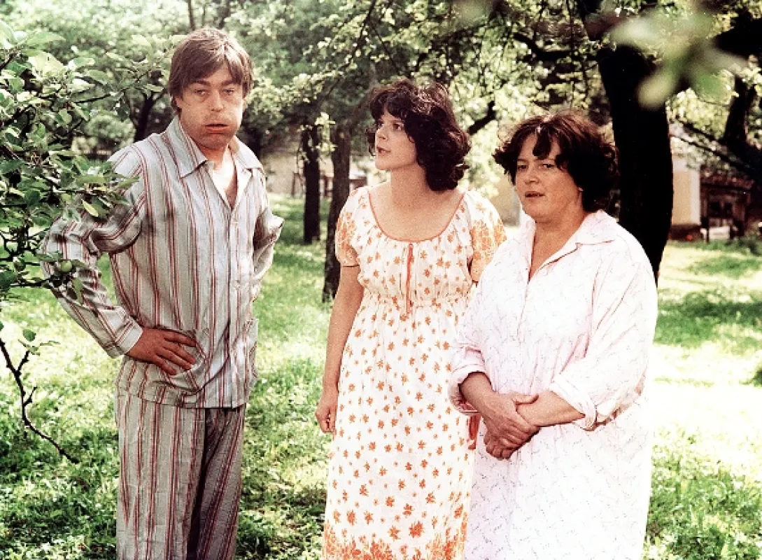 Zlatá slepice, 1980 - fotogaléria
