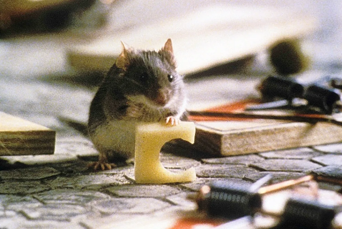 Lov na myš (Mouse Hunt), 1997 - fotogaléria