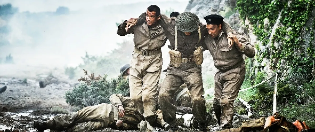 Bitva o Monte Cassino (Czerwone maki), 2024 - fotogaléria
