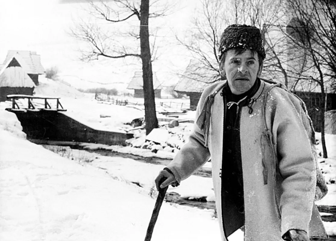 Rysavá jalovica, 1970 - fotogaléria