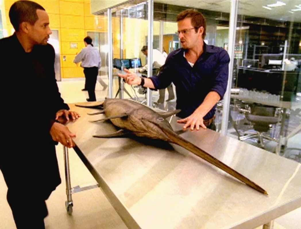 Kriminálka New York (CSI: NY II), 2005 - fotogaléria