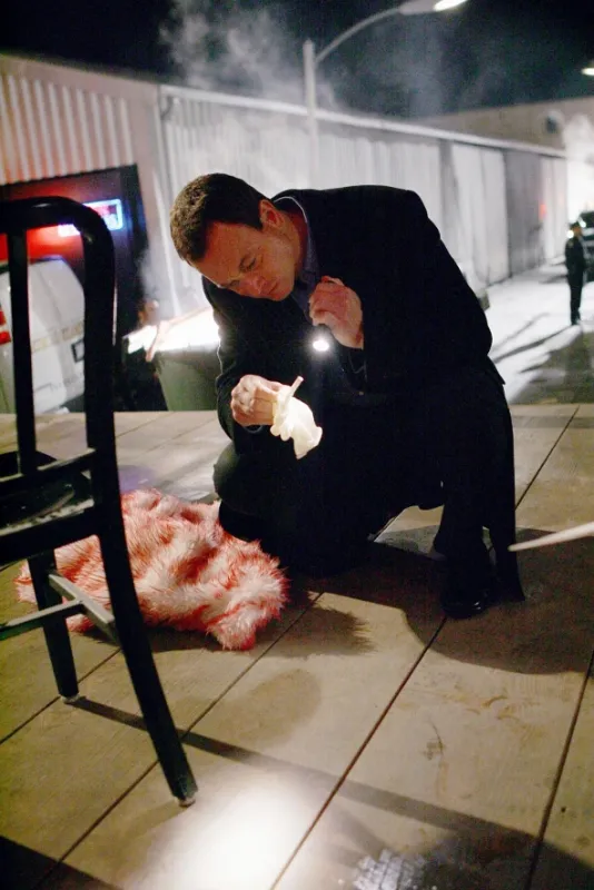 Kriminálka New York (CSI: NY II), 2005 - fotogaléria