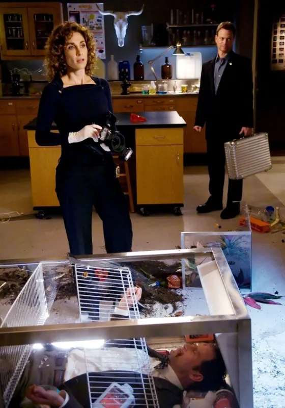 Kriminálka New York (CSI: NY 2), 2006 - fotogaléria