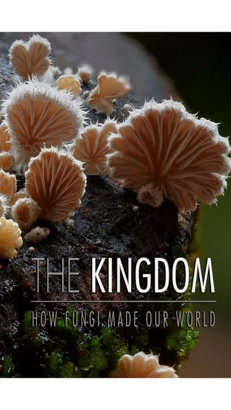 Jak houby stvořily náš svět (The Kingdom: How Fungi Made Our World), 2017 - fotogaléria