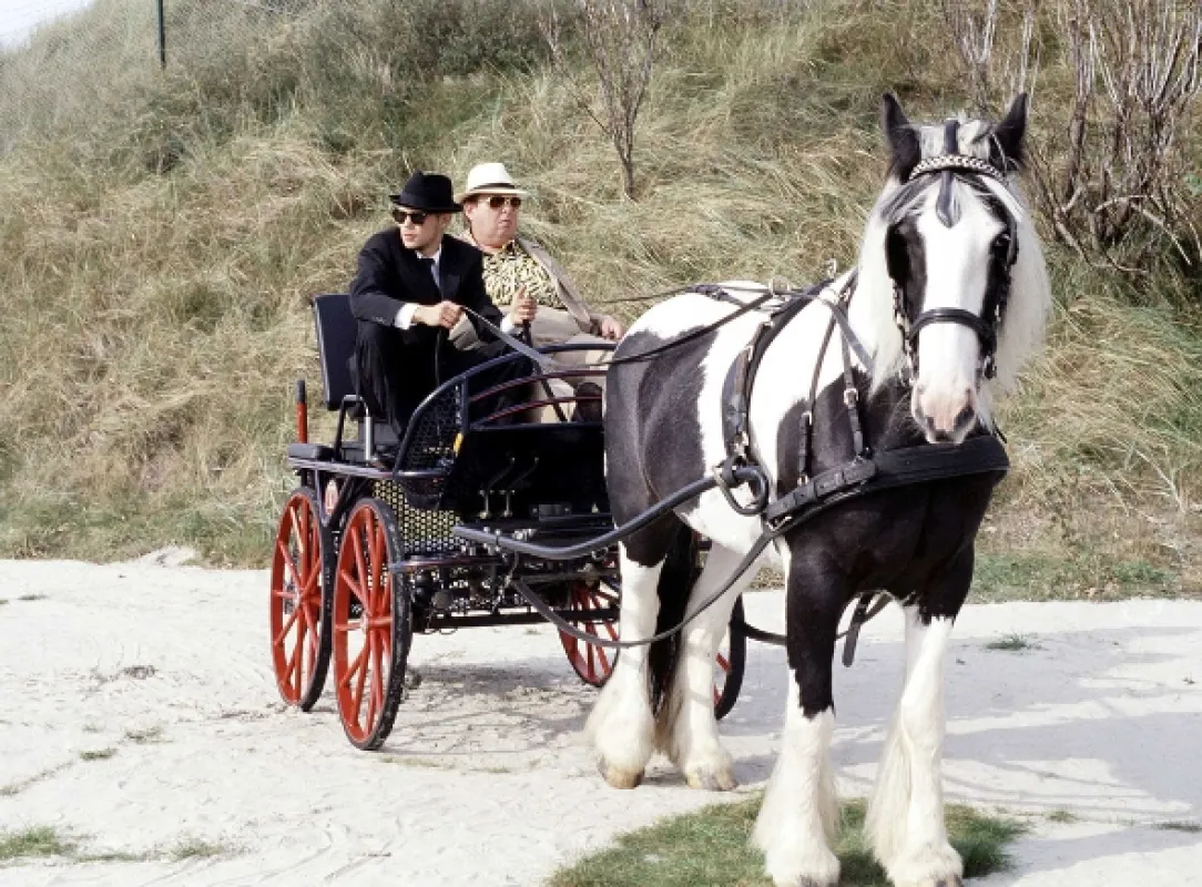 Otec Braun (Pfarrer Braun), 2003 - fotogaléria