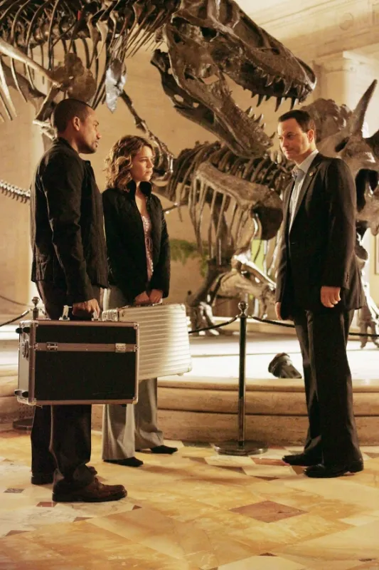 Kriminálka New York (CSI: NY II), 2005 - fotogaléria