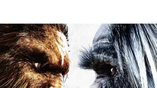 Bigfoot versus Yeti