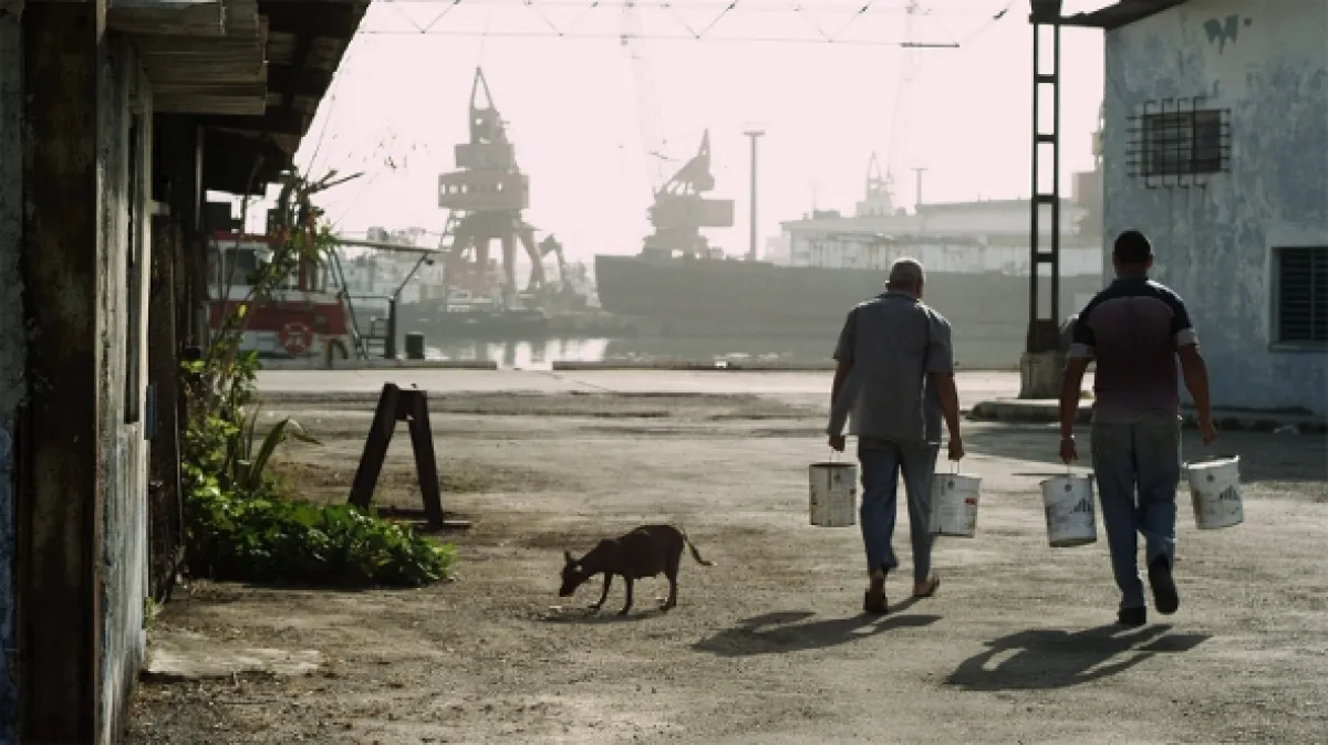 Havana, milujem ťa, 2012 - fotogaléria
