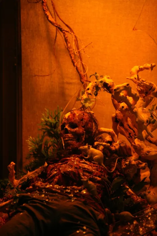 Sběratelé kostí, 2010 - fotogaléria
