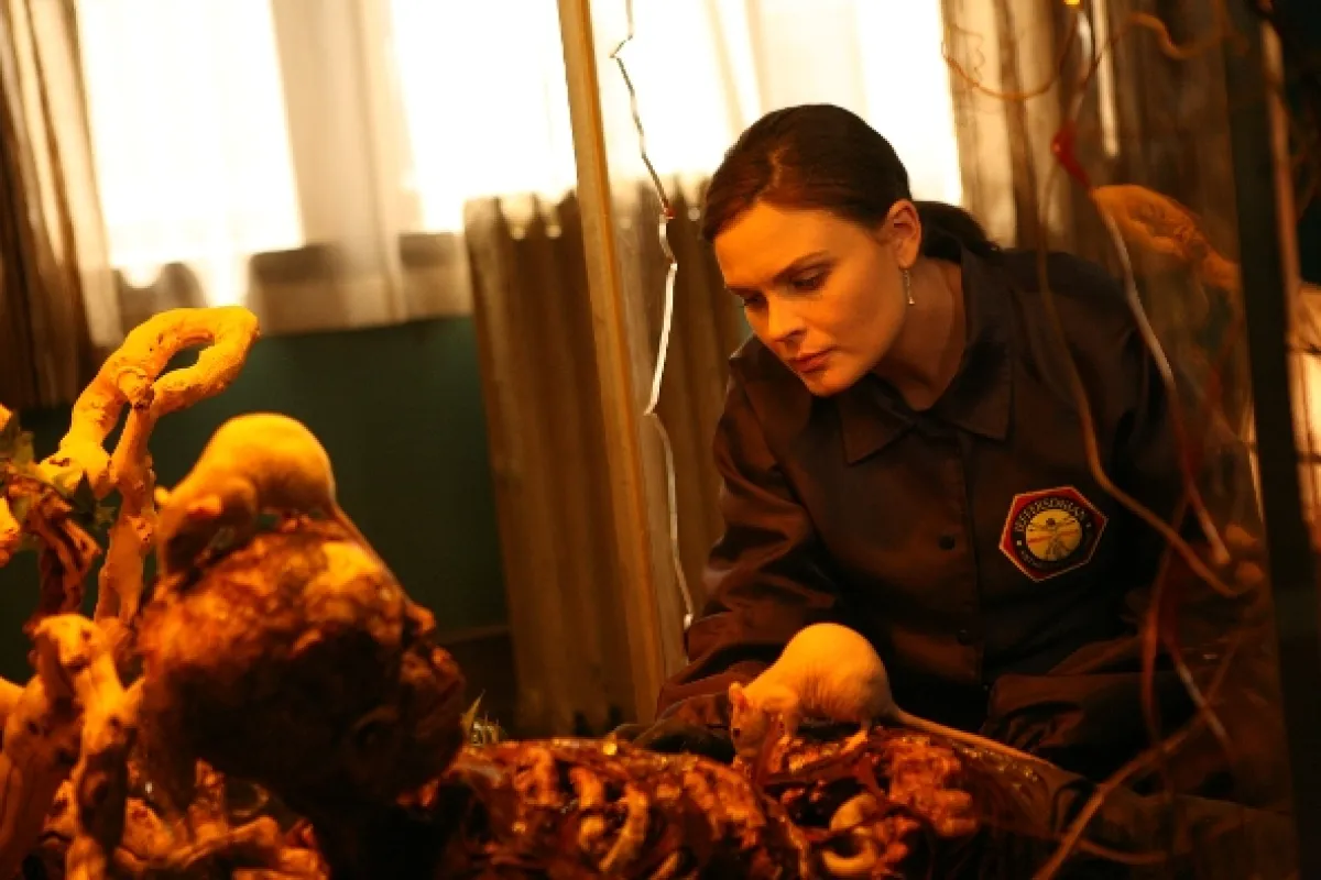 Sběratelé kostí, 2010 - fotogaléria