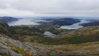 Co znamená divočina