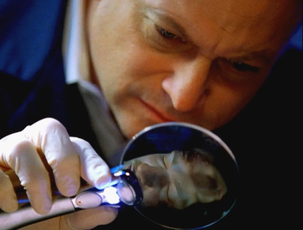 Kriminálka New York (CSI: NY II), 2005 - fotogaléria
