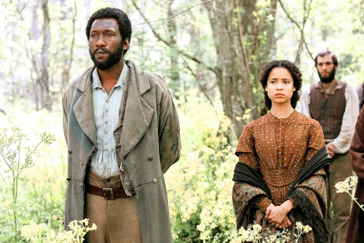Boj za slobodu (Free State of Jones), 2016 - fotogaléria