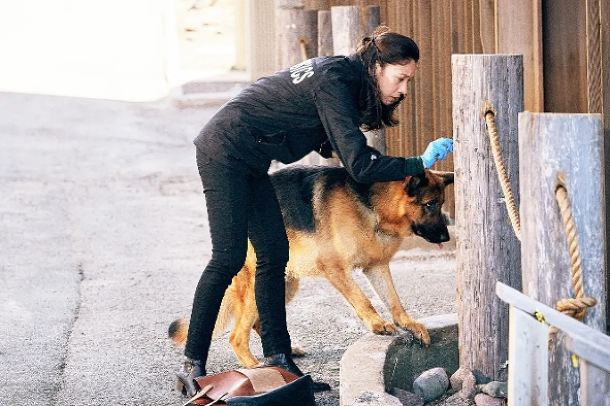 Hudson a Rex, 2019 - fotogaléria