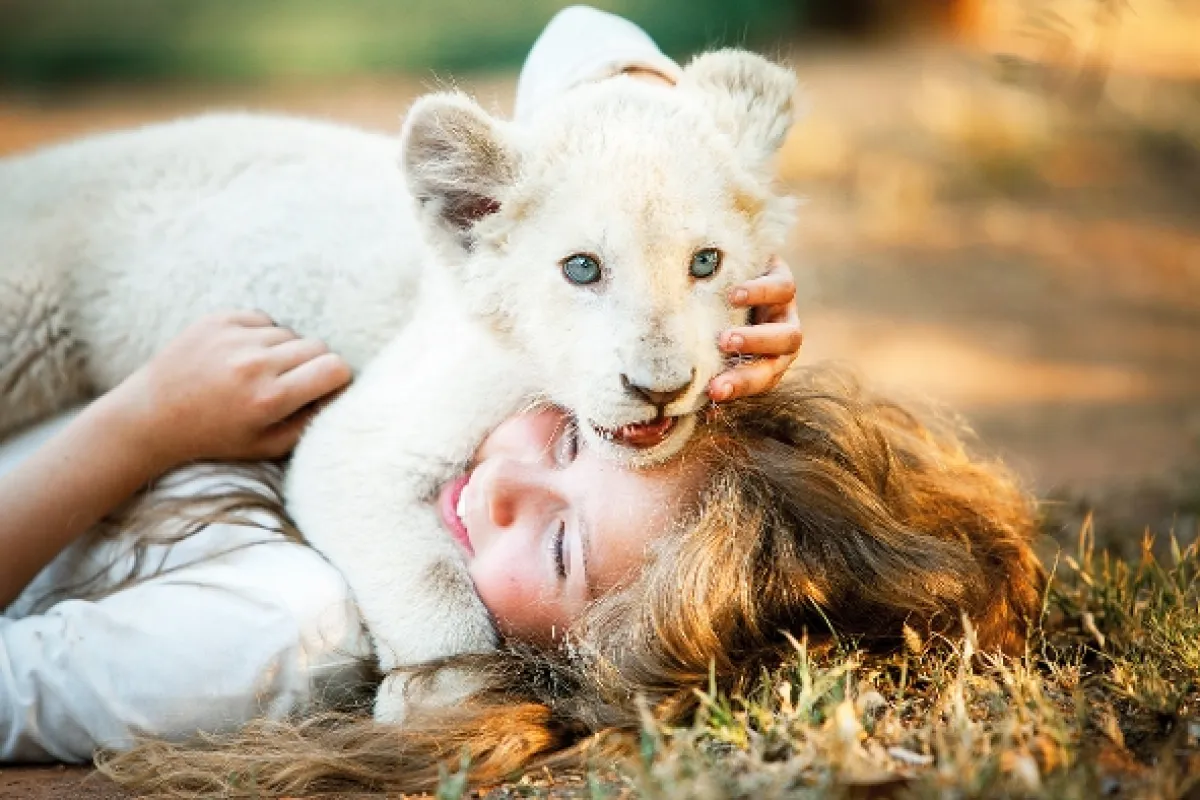 Mia a bílý lev (Mia and the White Lion), 2018 - fotogaléria