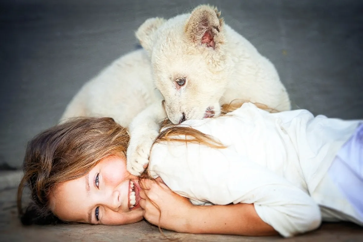 Mia a bílý lev (Mia and the White Lion), 2018 - fotogaléria