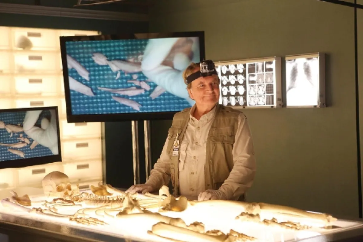 Sběratelé kostí, 2013 - fotogaléria