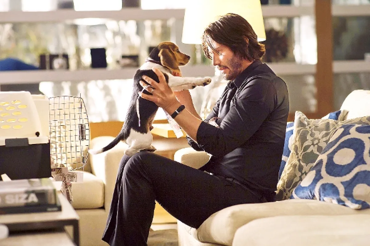 John Wick, 2014 - fotogaléria