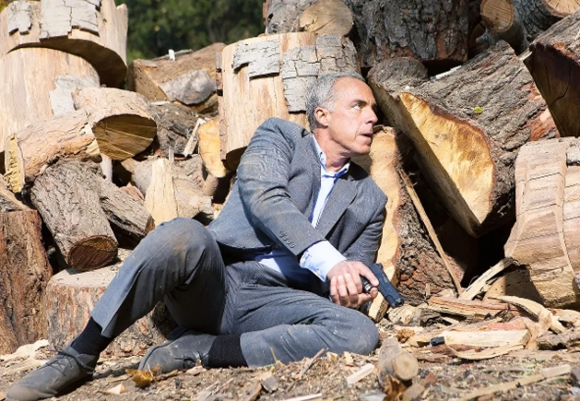 Bosch (BOSCH), 2016 - fotogaléria