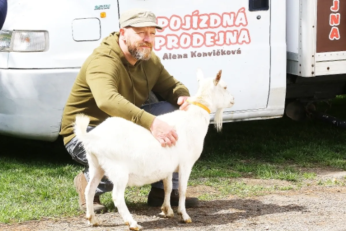 Slunečná, 2020 - fotogaléria