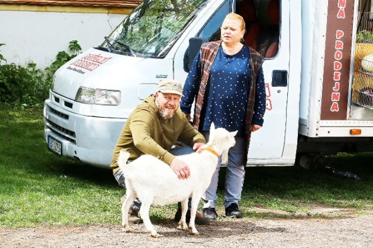 Slunečná, 2020 - fotogaléria
