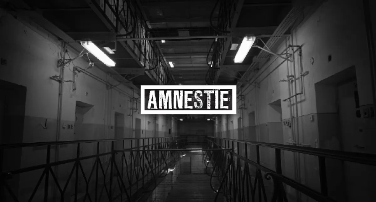 Amnestia, 2019 - fotogaléria