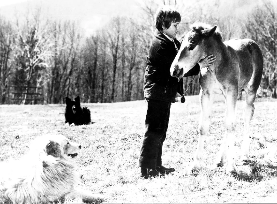 Lišáci, Myšáci a Šibeničák, 1970 - fotogaléria