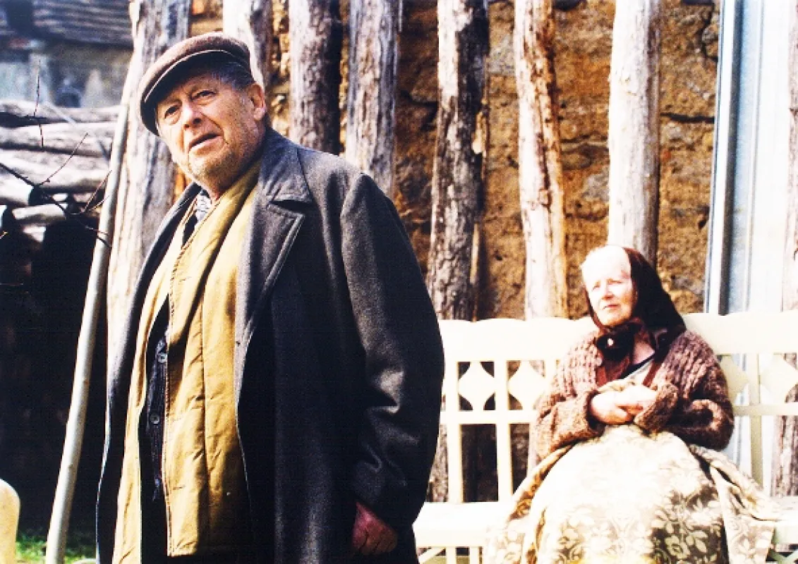 Nepodpísaný gombík, 2003 - fotogaléria