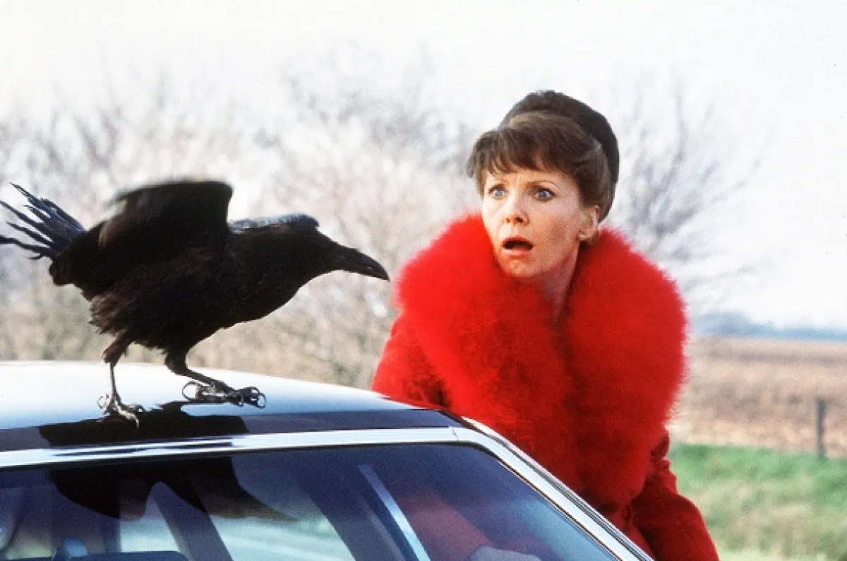 Damien (Damien: Omen II), 1978 - fotogaléria