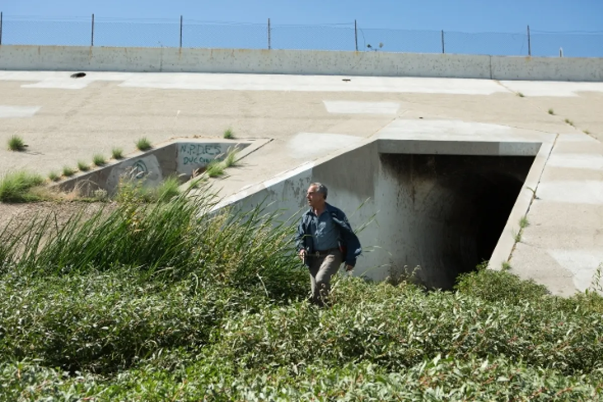 Bosch (BOSCH), 2014 - fotogaléria